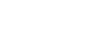 Wordpress logo.